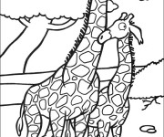 Coloriage et dessins gratuit Girafes amoureux à imprimer