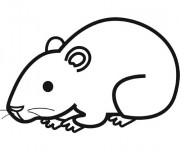 Coloriage et dessins gratuit Hamster facile à imprimer