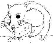 Coloriage Hamster mange de fromage