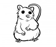 Coloriage et dessins gratuit Hamster simple à imprimer