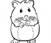 Coloriage Hamster timide