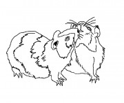 Coloriage et dessins gratuit Hamsters à télécharger à imprimer