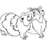Coloriage et dessins gratuit Hamsters russe en ligne à imprimer