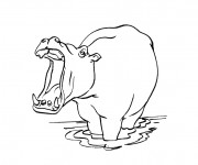Coloriage Hippopotame dans l'eau avec sa bouche ouverte