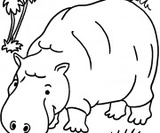 Coloriage Hippopotame dans la forêt