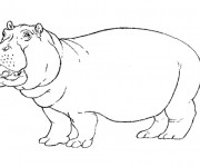 Coloriage Hippopotame facile