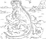 Coloriage et dessins gratuit Iguane dans une île à imprimer