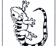 Coloriage et dessins gratuit Iguane noir et blanc à imprimer