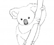 Coloriage Koala mandala