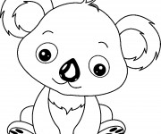 Coloriage Petit Koala en ligne