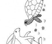 Coloriage Lièvre et tortue dessin animé