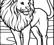 Coloriage Lion 29