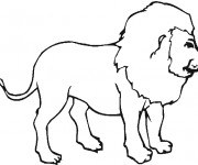 Coloriage Lion 31