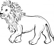 Coloriage Lion 36