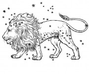 Coloriage Lion 41