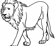 Coloriage Lion 8