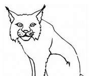 Coloriage Lynx facile