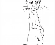 Coloriage et dessins gratuit Marmotte couleur à imprimer