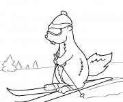 Coloriage Marmotte fait du Ski