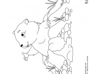 Coloriage et dessins gratuit Marmotte montagne à imprimer