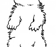 Coloriage et dessins gratuit Marmotte portrait à imprimer