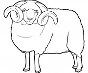 Coloriage et dessins gratuit Gros Mouton à imprimer