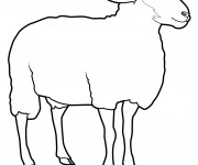 Coloriage et dessins gratuit Mouton facile à imprimer