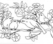 Coloriage et dessins gratuit Oiseau et ses petits à imprimer