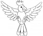 Coloriage et dessins gratuit Oiseau Perroquet à imprimer