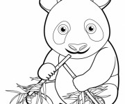 Coloriage et dessins gratuit Bébé Panda à imprimer