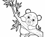 Coloriage Bébé Panda sur l'arbre
