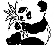 Coloriage Panda en mangeant