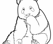 Coloriage et dessins gratuit Panda pour enfant à imprimer