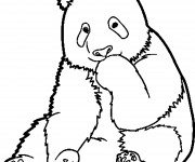 Coloriage et dessins gratuit Panda timide à imprimer