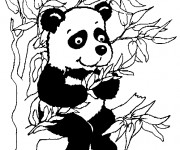 Coloriage et dessins gratuit Petit Panda sur l'arbre à imprimer