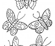 Coloriage Papillons stylisés