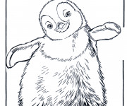 Coloriage Pingouin dessin animé