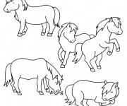 Coloriage et dessins gratuit Poney et chevaux à imprimer