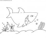 Coloriage et dessins gratuit Requin dans la mer à imprimer