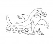 Coloriage et dessins gratuit Requin en colère à imprimer