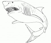 Coloriage et dessins gratuit Requin portrait à imprimer