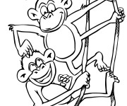 Coloriage Deux singes jouent