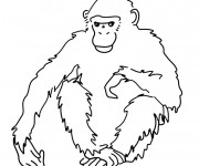 Coloriage et dessins gratuit Gorille pour enfant à imprimer