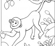 Coloriage et dessins gratuit Singe dans un arbre à imprimer
