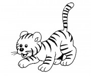 Coloriage Bébé de Tigre