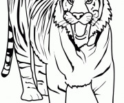 Coloriage Tigre effrayant
