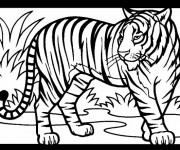Coloriage et dessins gratuit Tigre prédateur à imprimer