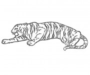 Coloriage Tigre se faufile
