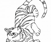 Coloriage et dessins gratuit Tigre simple à imprimer