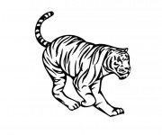 Coloriage et dessins gratuit Tigre vecteur à imprimer
